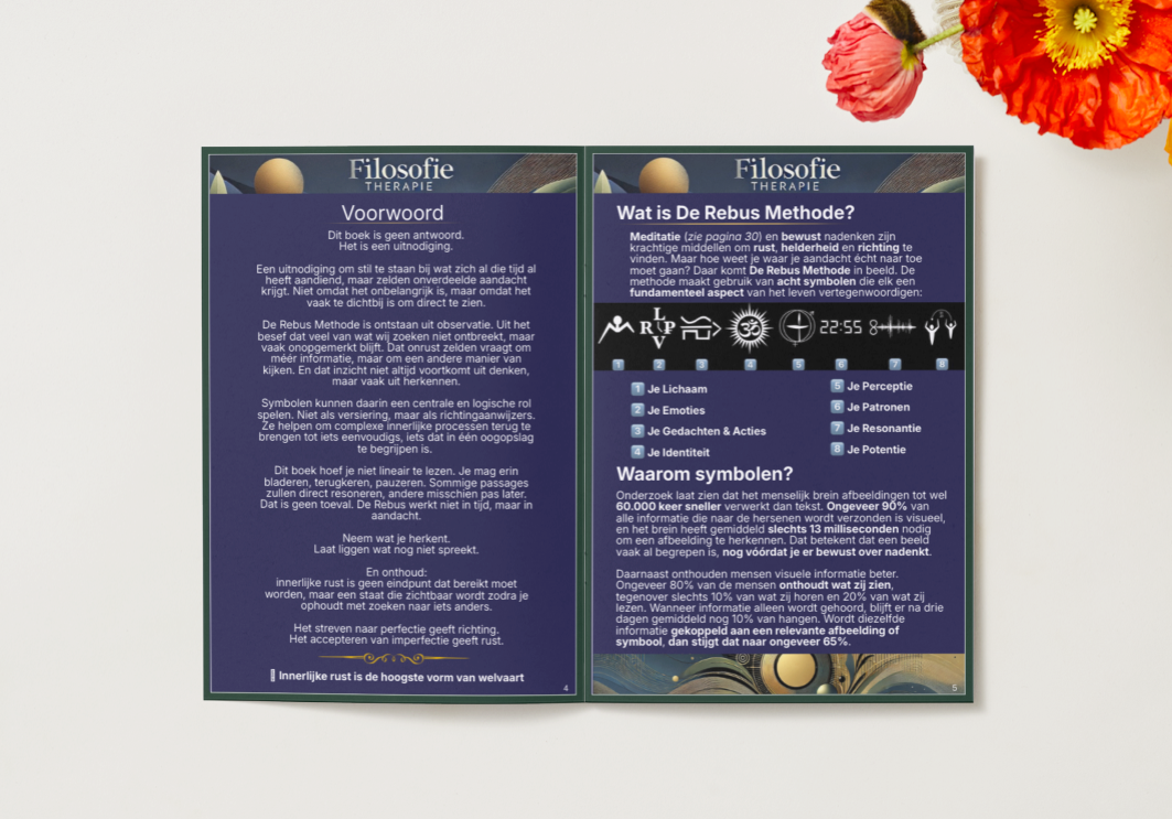 De Rebus Methode - Fysiek handboek + De symbolenset (NL)